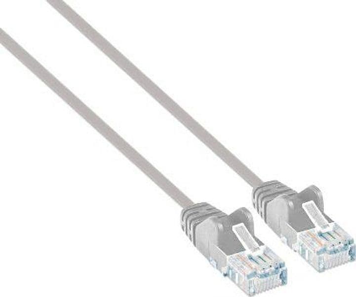 Cavo patch di rete Cat6 UTP Slim 0,5 m grigio in Cavi Ethernet Scontolo.net - Potenza, commercioVirtuoso.it