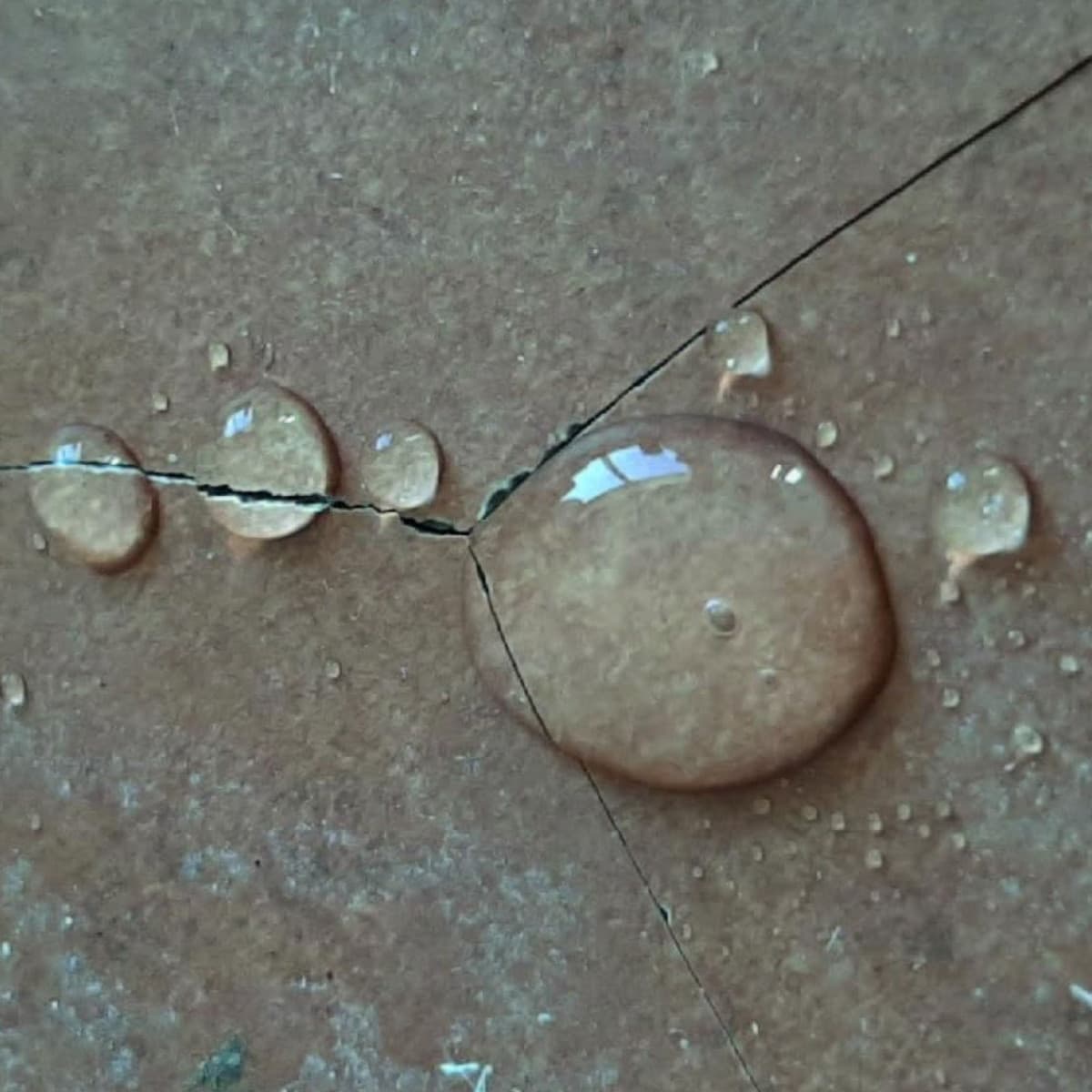 Sana Terrazza – Idrorepellente effetto bagnato 1 e 5 litri in Impermeabili Masterbrico - Longobardi, commercioVirtuoso.it