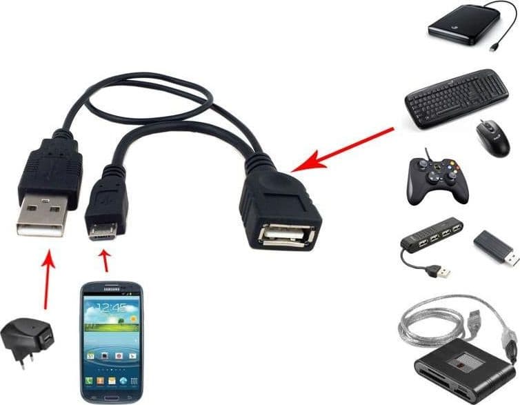 Cavo USB A F 2.0 OTG Micro USB M con Alimentazione USB, 30cm Nero in Adattatori da viaggio Scontolo.net - Potenza, commercioVirtuoso.it