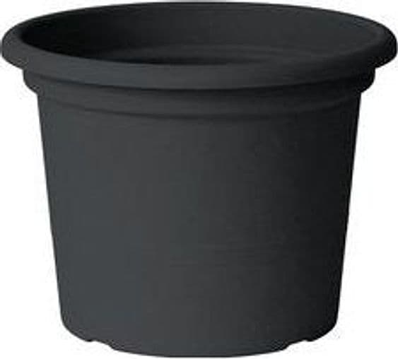 Vaso piante Euro 3 Plast 3134 62 GUYA Antracite in Vasi tradizionali Scontolo.net - Potenza, commercioVirtuoso.it