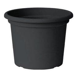 Vaso piante Euro 3 Plast 3134 62 GUYA Antracite in Vasi tradizionali Scontolo.net - Potenza, commercioVirtuoso.it