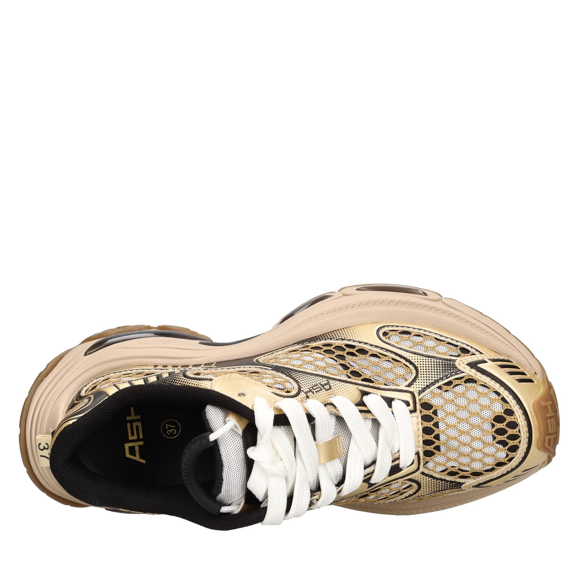 ASH Sneakers Oro da donna in Sneaker casual Drestige - Casamassima, commercioVirtuoso.it