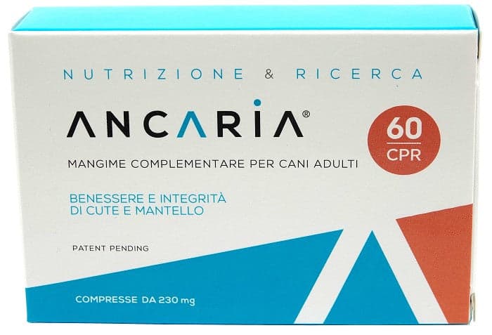 Ancaria 60 cpr