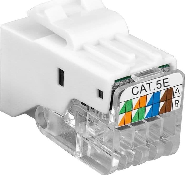 Frutto Keystone RJ45 UTP Cat.5E Tooless Bianco in Cavi Ethernet Scontolo.net - Potenza, commercioVirtuoso.it