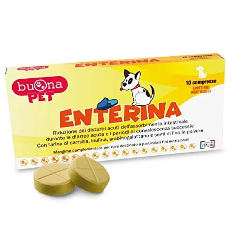 Digestivi per i cani