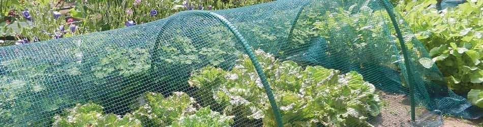 RETE ANTIGRANDINE VERDE DOPPIA TRAMA MT 5 X 2 h 30 GR/MQ FERR 187213 in prodotto EuroStore07 - Alatri, commercioVirtuoso.it