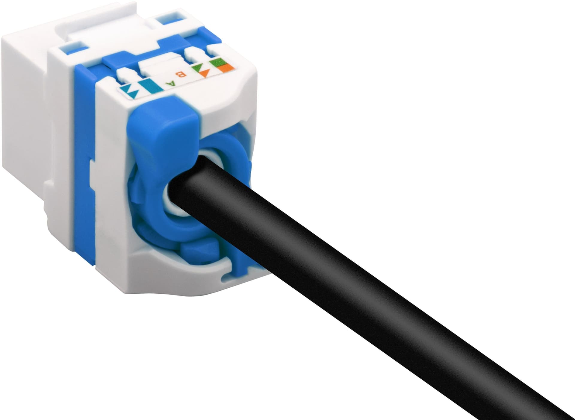 Frutto Keystone RJ45 Cat.6 UTP Tooless in Cavi Ethernet Scontolo.net - Potenza, commercioVirtuoso.it