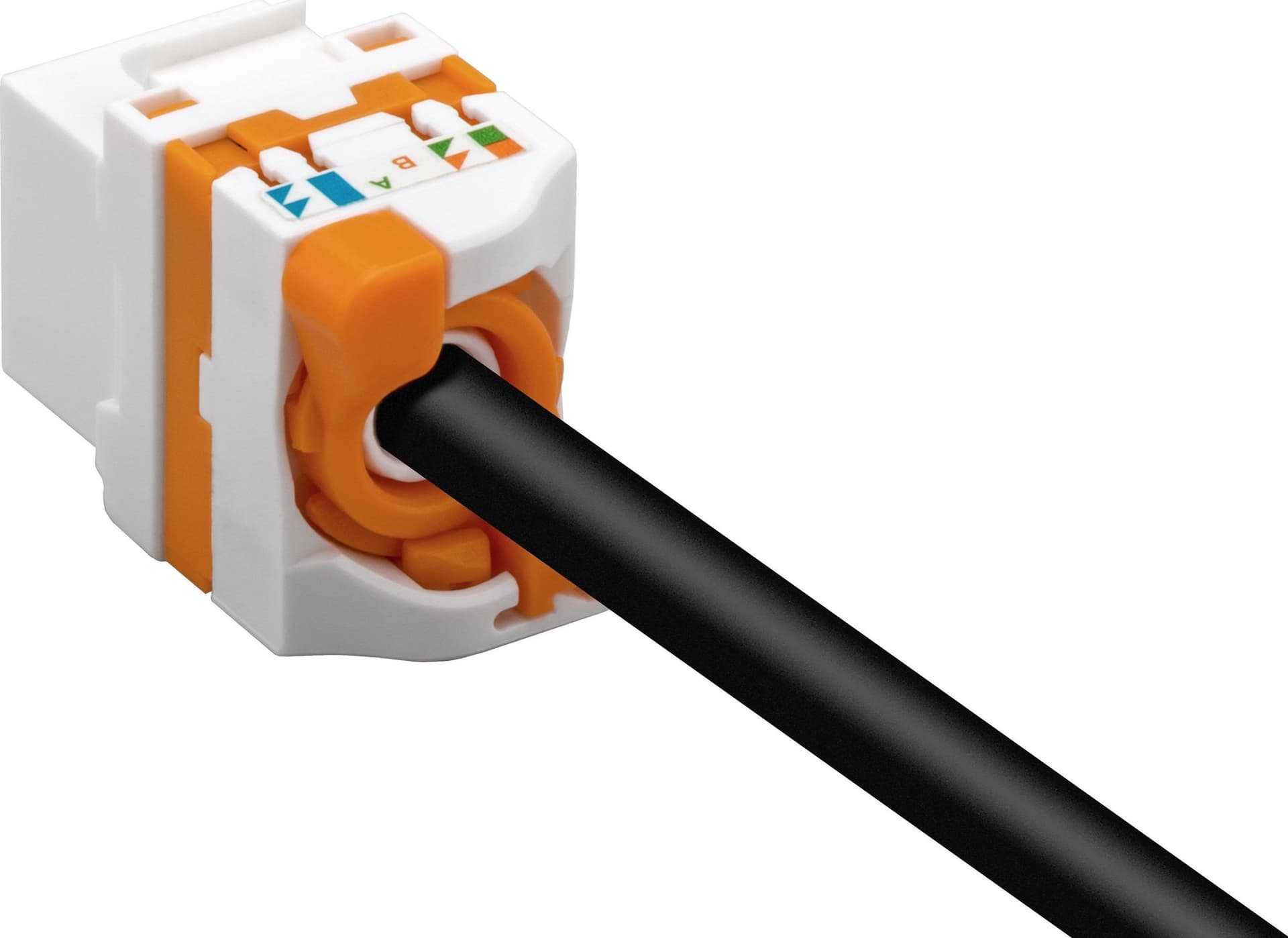 Frutto Keystone RJ45 Cat.6A UTP Tooless in Cavi Ethernet Scontolo.net - Potenza, commercioVirtuoso.it