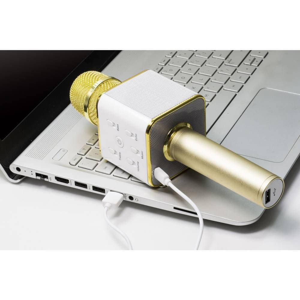 Microfono Karaoke Bluetooth con Speaker Stereo, BT-X31 in Set di microfoni Scontolo.net - Potenza, commercioVirtuoso.it