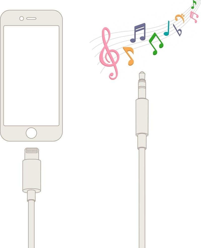Cavo da Apple Lightning a Audio 3,5 mm M 1m Nero in Cavi Stereo Jack Scontolo.net - Potenza, commercioVirtuoso.it