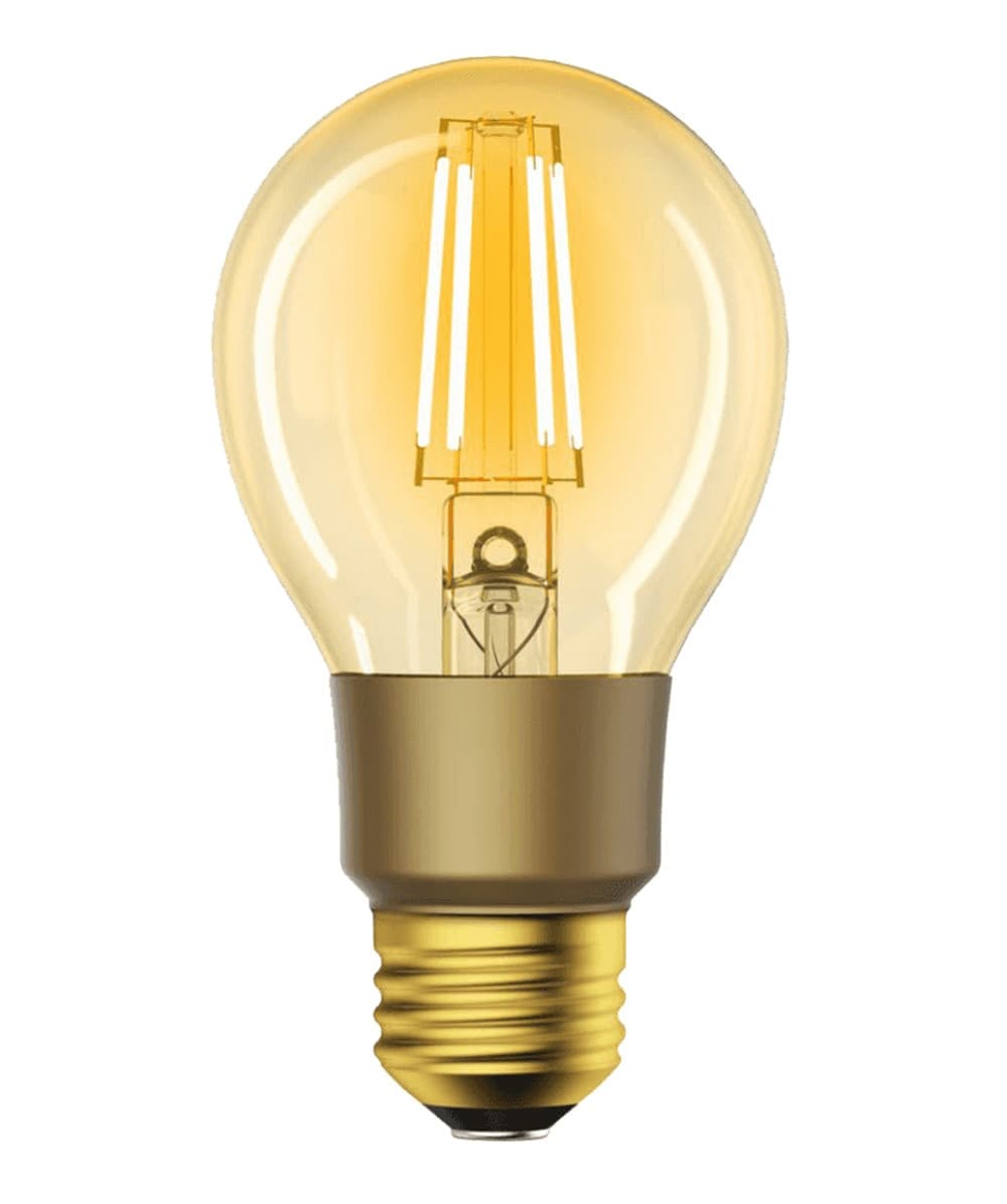 Lampadina LED E27 con Filamento Smart Controllo Vocale Alexa F, R9078 in Lampadine Wi-Fi Scontolo.net - Potenza, commercioVirtuoso.it
