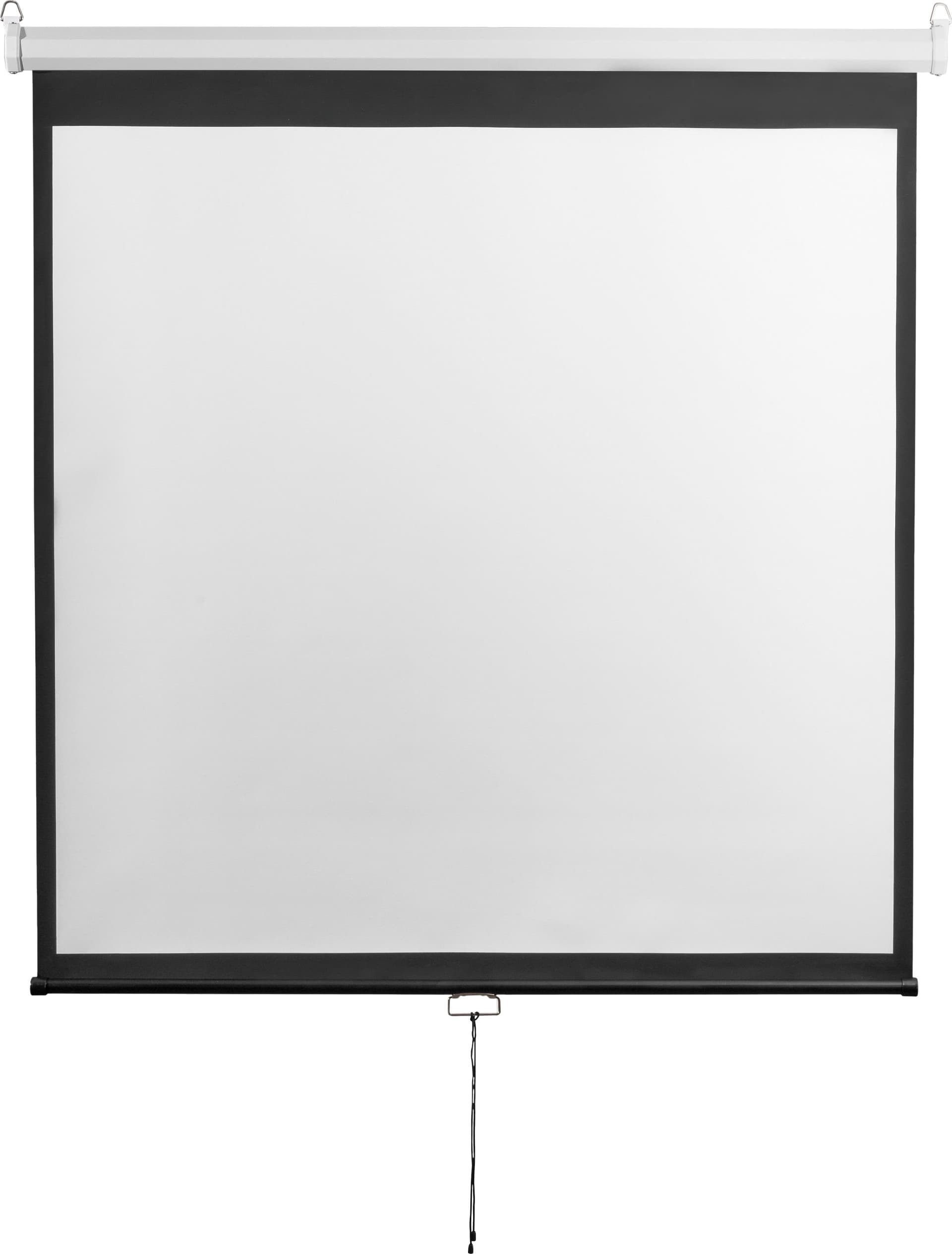 Schermo di Proiezione 112'' 200 x 200 cm, PSM-112-2 in Schermi di proiezione Scontolo.net - Potenza, commercioVirtuoso.it