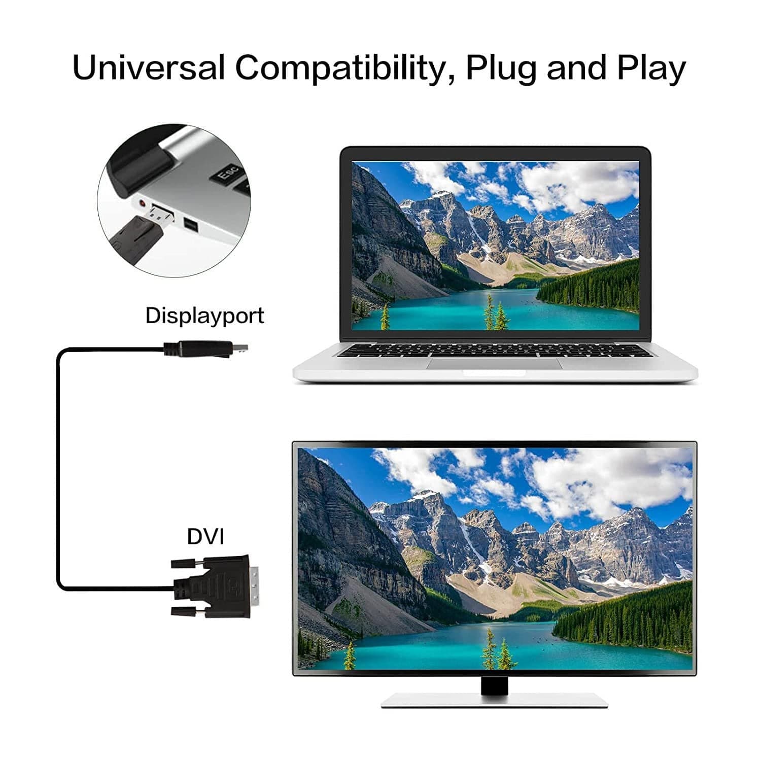 Cavo Monitor DisplayPort a DVI 3 m in  Scontolo.net - Potenza, commercioVirtuoso.it