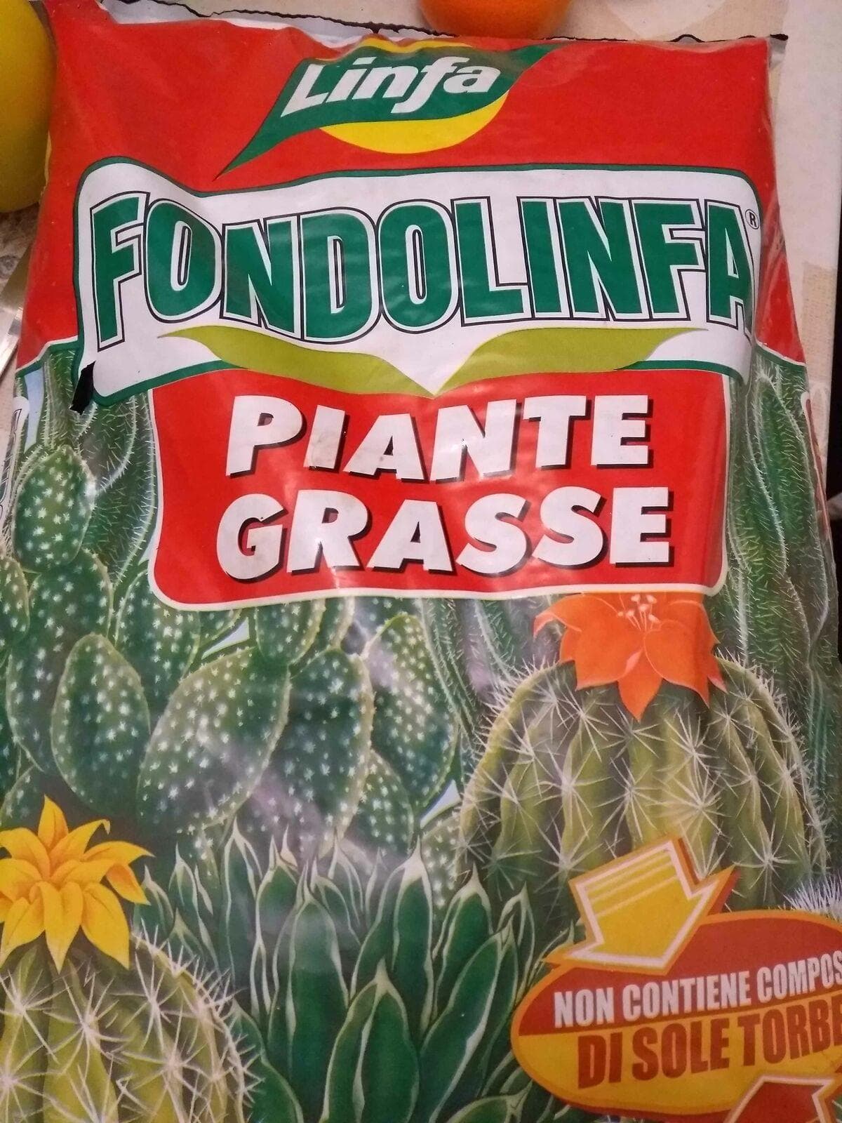 TERRA TERRICCIO PER PIANTE GRASSE GRASSA CACTACEE CON SABBIA E CORTECCIA 10 LT in prodotto EuroStore07 - Alatri, commercioVirtuoso.it