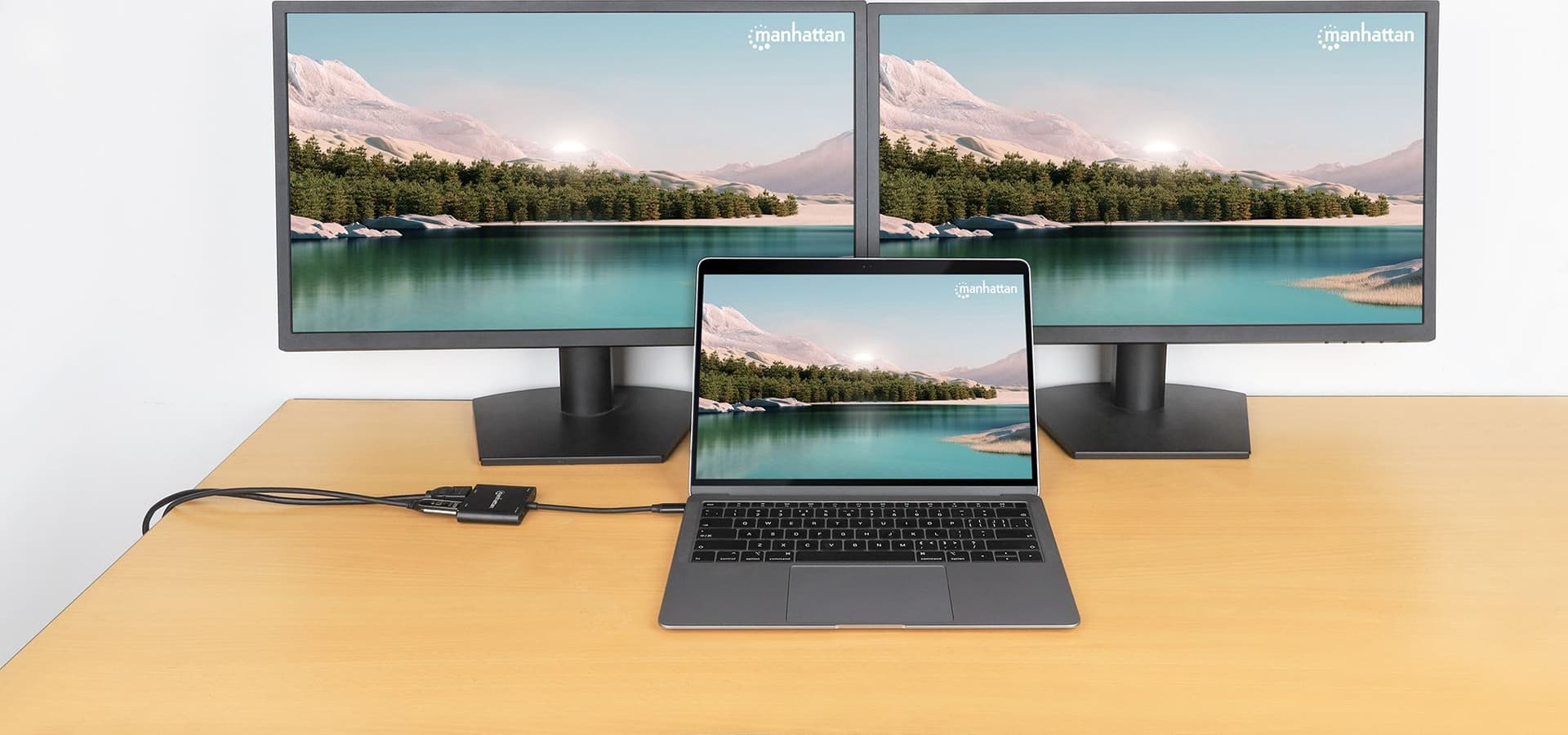 Adattatore USB-C&trade PD a Doppio Monitor HDMI per Laptop e Tablet in  Scontolo.net - Potenza, commercioVirtuoso.it