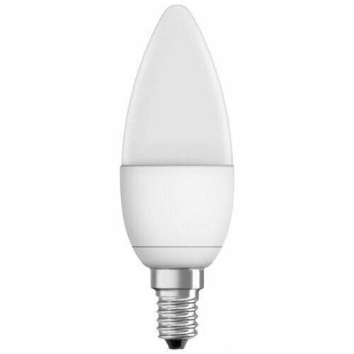 1 LAMPADINA LED OLIVA ATTACCO E 14 CONSUMA 4 W SVILUPPA 30 W LUCE FREDDA in prodotto EuroStore07 - Alatri, commercioVirtuoso.it