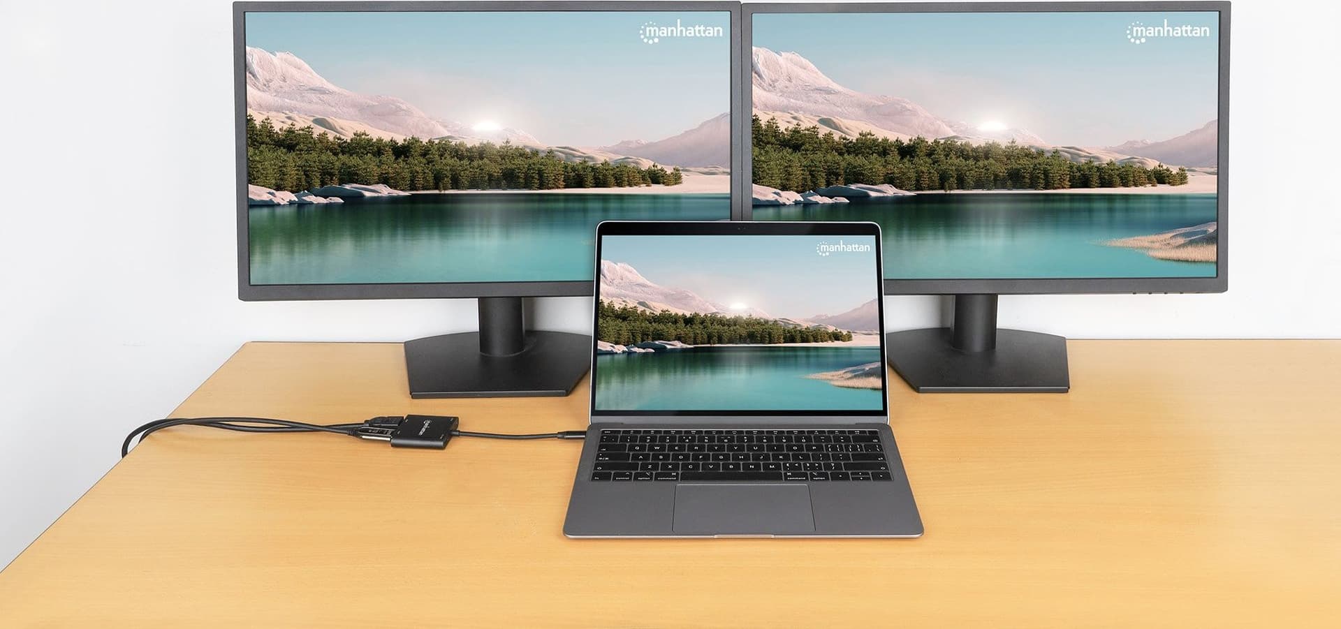 Adattatore USB-C&trade PD a Doppio Monitor HDMI per Laptop e Tablet in  Scontolo.net - Potenza, commercioVirtuoso.it