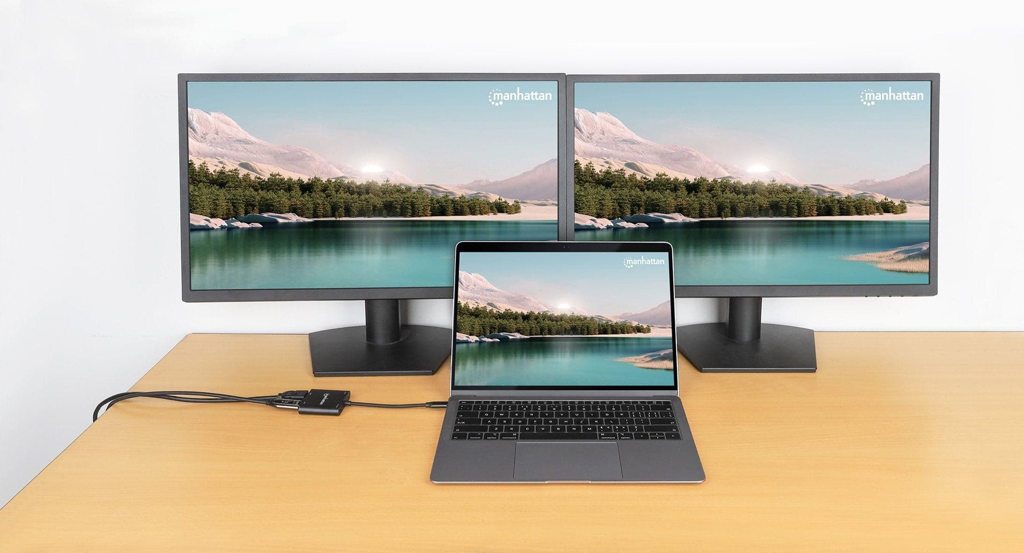 Adattatore USB-C&trade PD a Doppio Monitor HDMI per Laptop e Tablet in  Scontolo.net - Potenza, commercioVirtuoso.it
