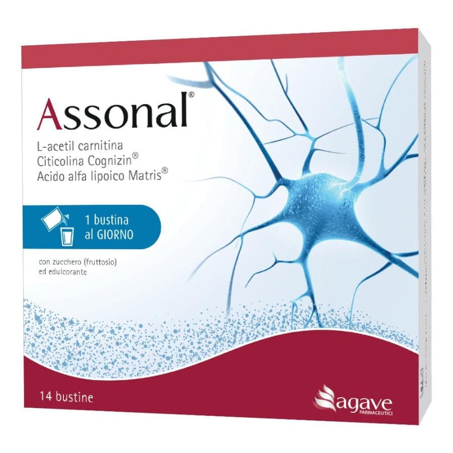 Assonal 14bust