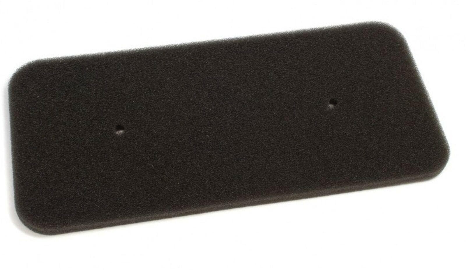 CANDY ZEROWATT HOOVER SPUGNA 1 FILTRO ASCIUGATRICE POMPA CALORE 40006731 in prodotto EuroStore07 - Alatri, commercioVirtuoso.it