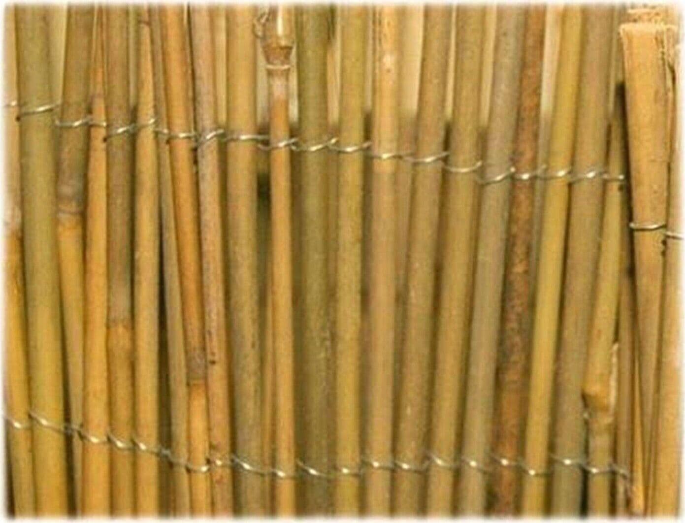 ARELLA IN BAMBU MT 1 X 3 LEGATA FILO FERRO CANNA CANNUCCIATA PULITA FER 317580 in prodotto EuroStore07 - Alatri, commercioVirtuoso.it