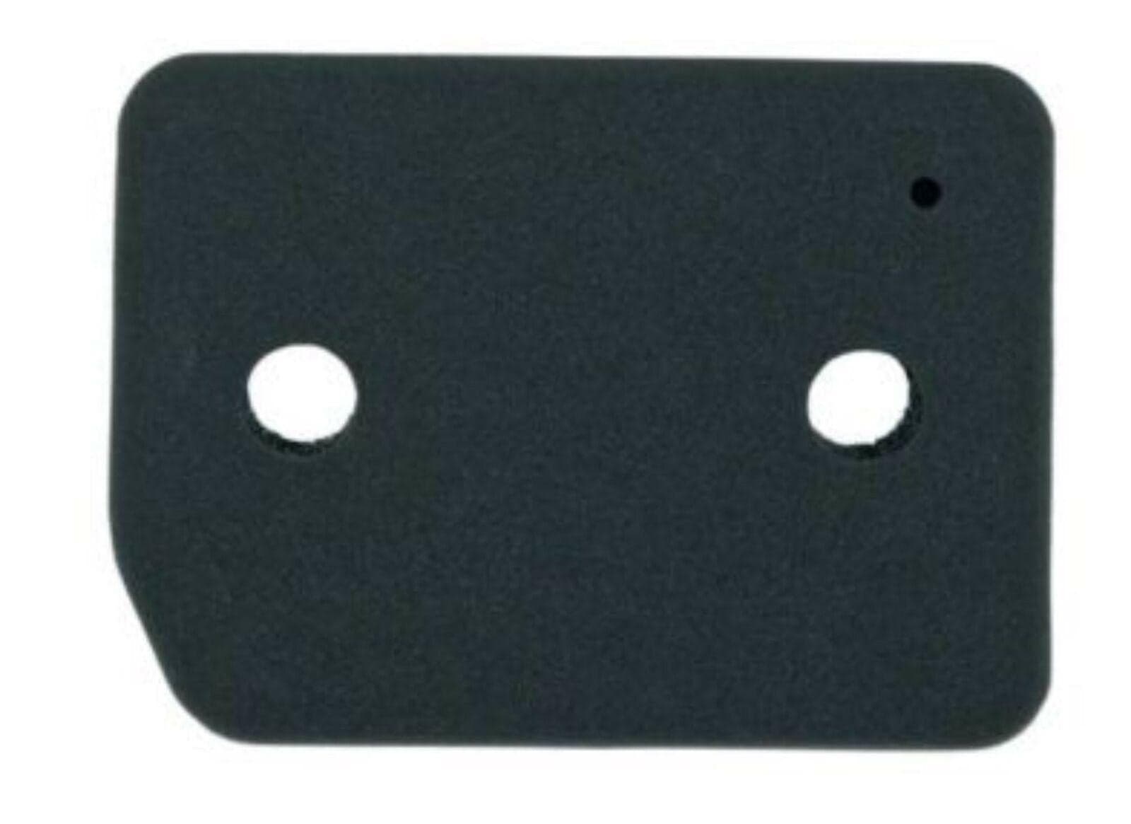 FILTRO ASCIUGATRICE MIELE 9164761 207x157x30 MM NO ORIGINALE SPUGNA FL 215 in prodotto EuroStore07 - Alatri, commercioVirtuoso.it