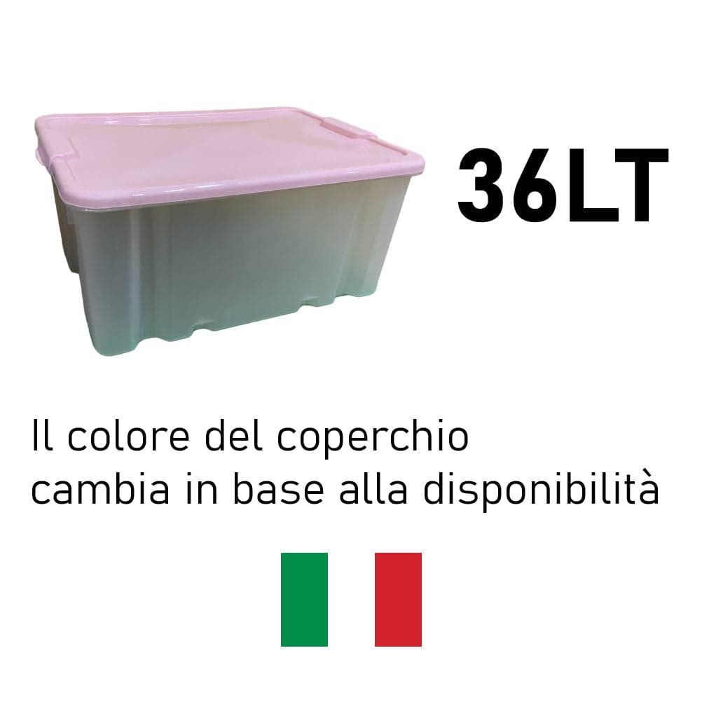 Kit 3pz Scatole Porta Tutto Porta Oggetti Plastica Trasparente 50x37 H25cm in Contenitori con coperchio Danyx - Casoria, commercioVirtuoso.it