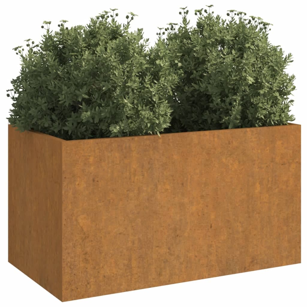 Fioriera 62x30x29 cm Acciaio Corten in Fioriere Esplodia - Napoli, commercioVirtuoso.it