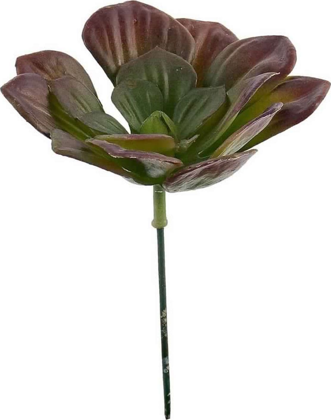 Pianta artificiale "Echeveria" verde e rosso, in plastica - 4