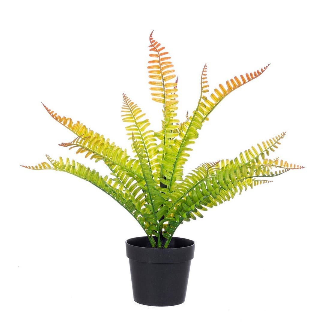 Pianta artificiale "Cyathea" per interno, in PE e fil di ferro, da 40 cm - 4