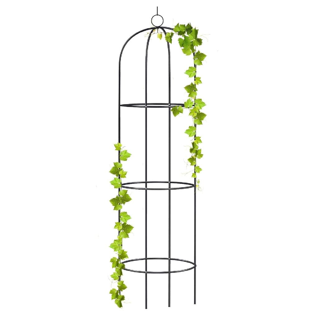 Supporto in Metallo per Piante Rampicanti da Giardino 40x60 H 185cm Verde in Graticolati Danyx - Casoria, commercioVirtuoso.it