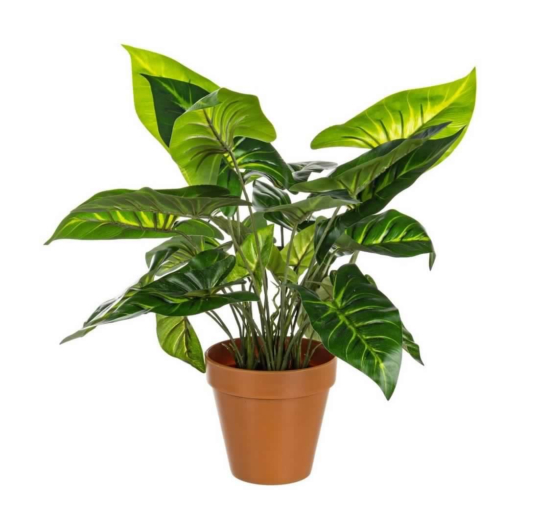 Pianta artificiale "Caladio" con vaso, per esterno, realistica, 30x30x45h cm - 9