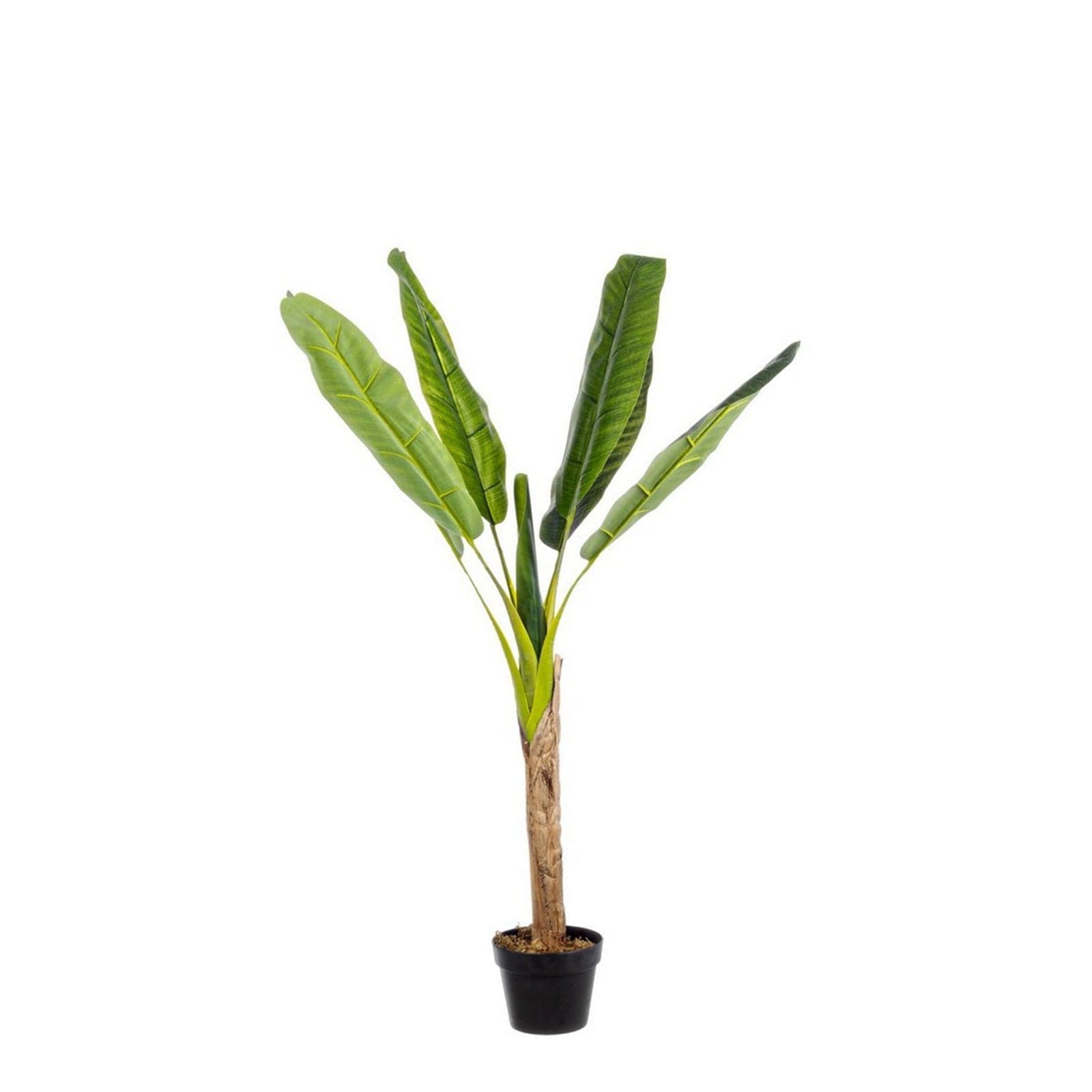 Pianta artificiale "Banano" con vaso nero, foglie in gomma, realistica - 13