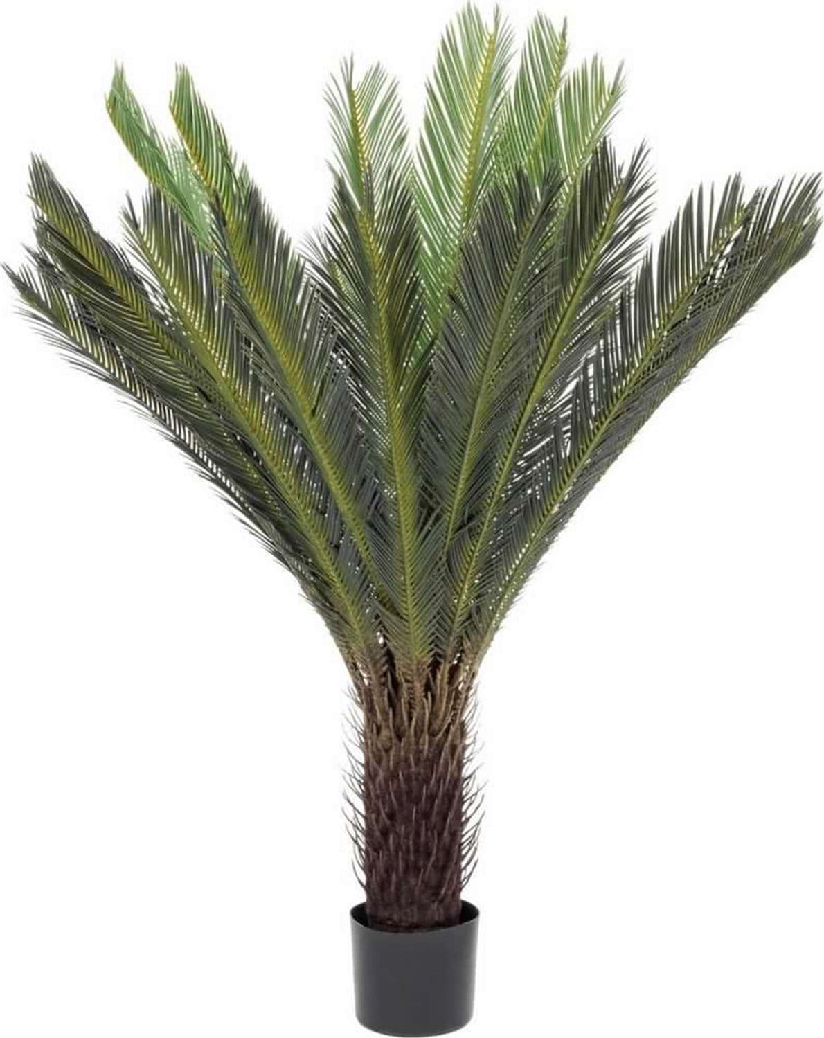 Pianta artificiale "Palma Cycas" con foglie e rami in PE, vaso in plastica - 4