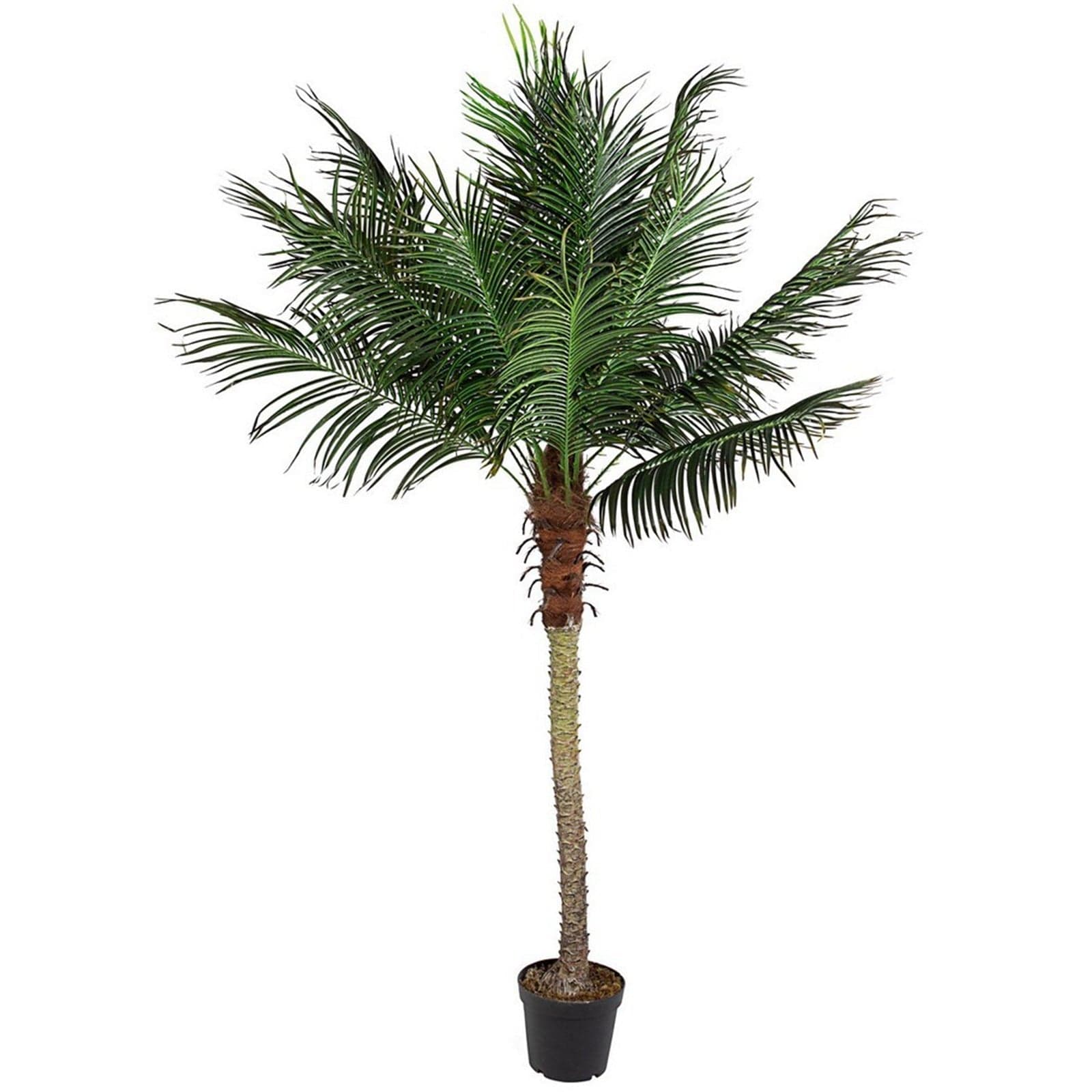Pianta Artificiale decorativa da interno ed esterno "Palma" con vaso - 6