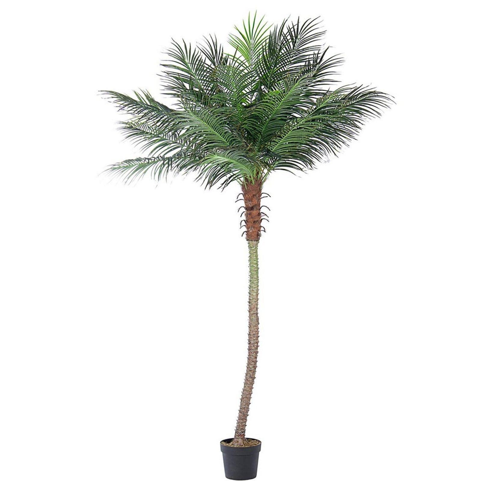 Pianta Artificiale decorativa da interno ed esterno "Palma" con vaso - 7