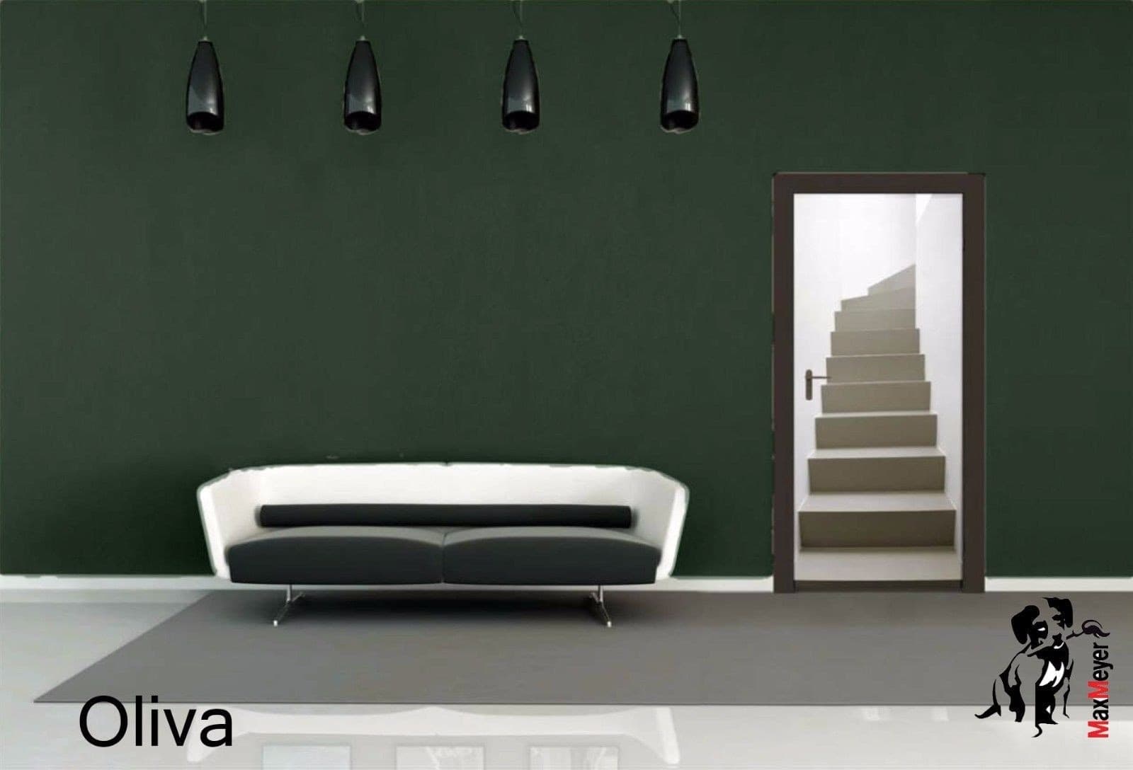 Casacolor 750ml pittura lavabile colorata per interno colori intensi in Pittura per pareti Aloiserw.com - Altomonte, commercioVirtuoso.it