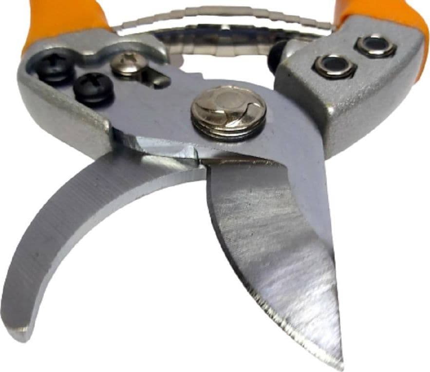 FORBICE DA POTA 190 MM POTATURA PER GIARDINAGGIO 7.5" GIARDINO CESOIA in Forbici e cesoie per potatura Trade Shop italia - Napoli, commercioVirtuoso.it