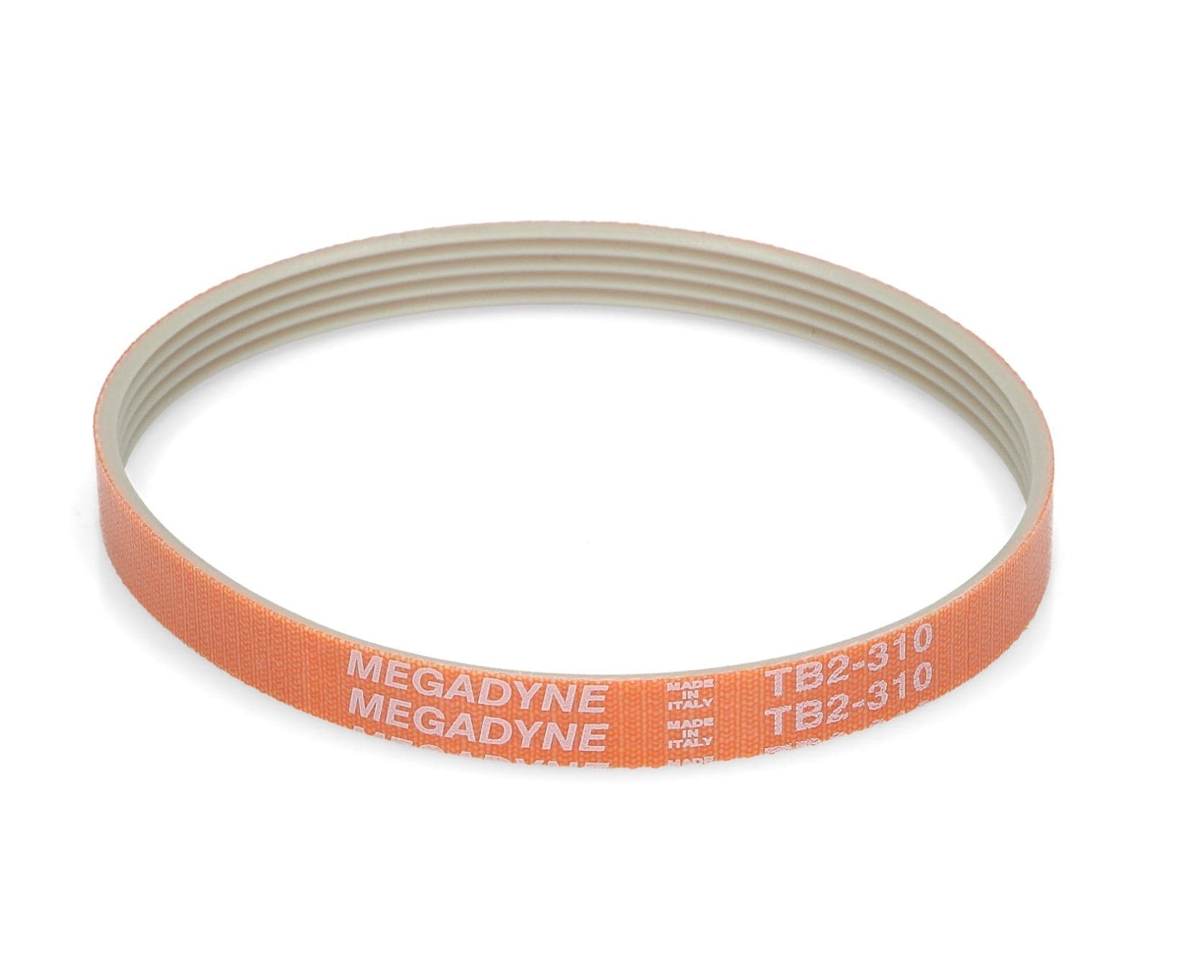 CINGHIA AFFETTATRICE SV310 484 MEGADYNE 10mm. Lunghezza: 310mm. Profilo: TB2. in prodotto EuroStore07 - Alatri, commercioVirtuoso.it