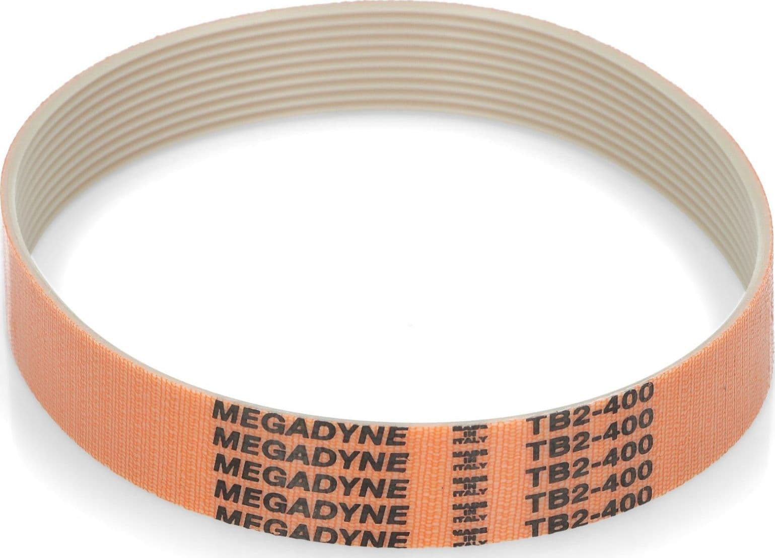 CINGHIA AFFETTATRICE SV400 635 MEGADYNE 20mm. Lunghezza: 400mm. in prodotto EuroStore07 - Alatri, commercioVirtuoso.it