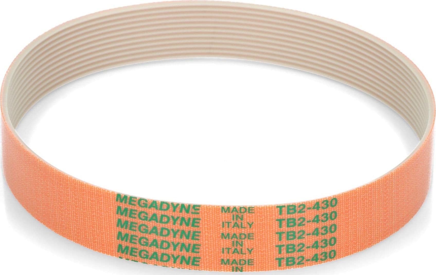 CINGHIA AFFETTATRICE SV430 573 MEGADYNE 11W, 22mm. Lunghezza: 430mm. in prodotto EuroStore07 - Alatri, commercioVirtuoso.it