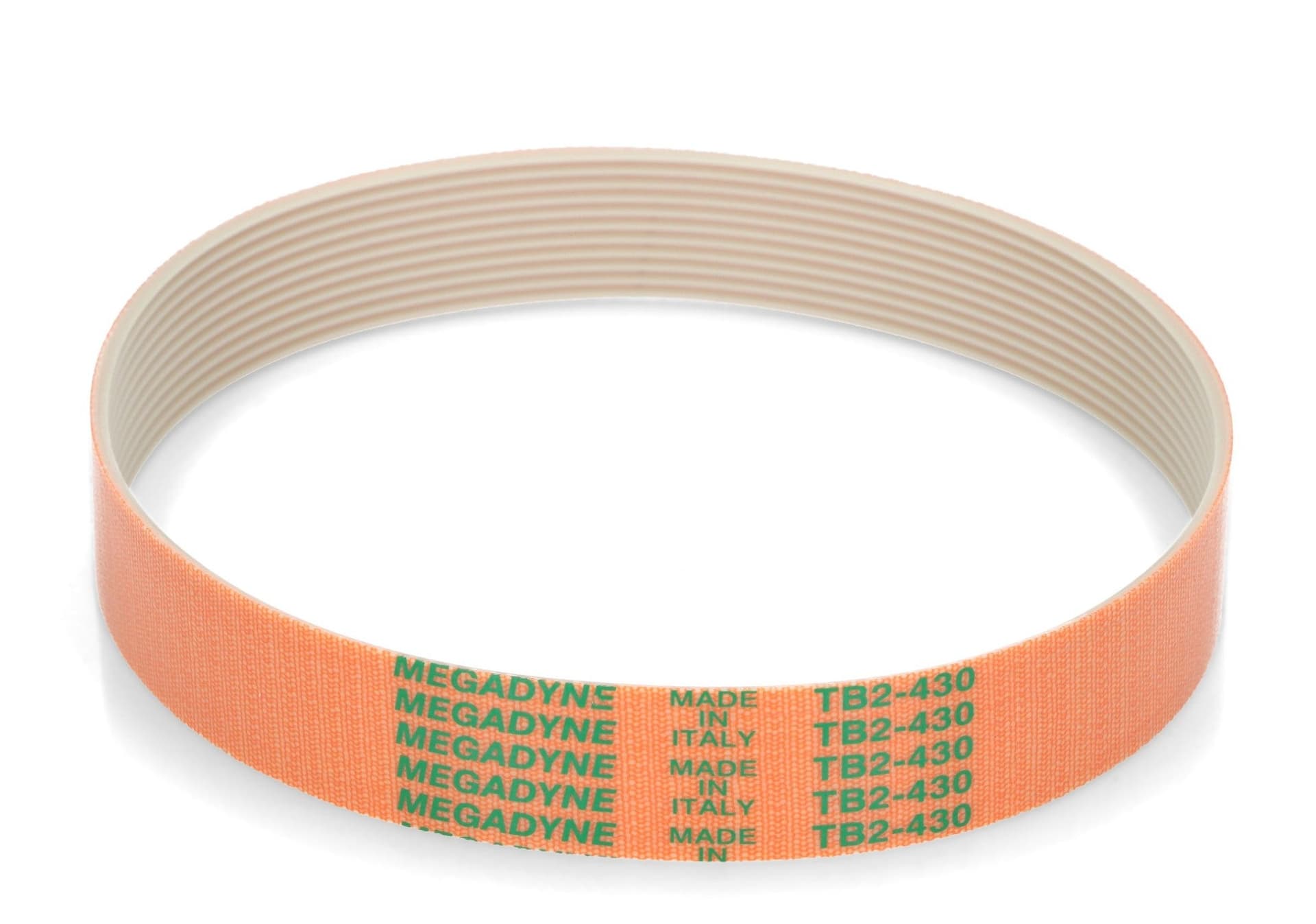 CINGHIA AFFETTATRICE SV430 573 MEGADYNE 11W, 22mm. Lunghezza: 430mm. in prodotto EuroStore07 - Alatri, commercioVirtuoso.it