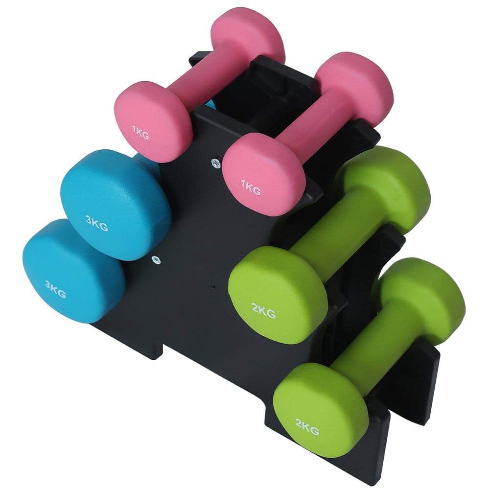 Set Manubri Palestra 6 Pesi Fitness 1kg 2kg 3kg con Supporto Stand Antirumore in Manubri Danyx - Casoria, commercioVirtuoso.it