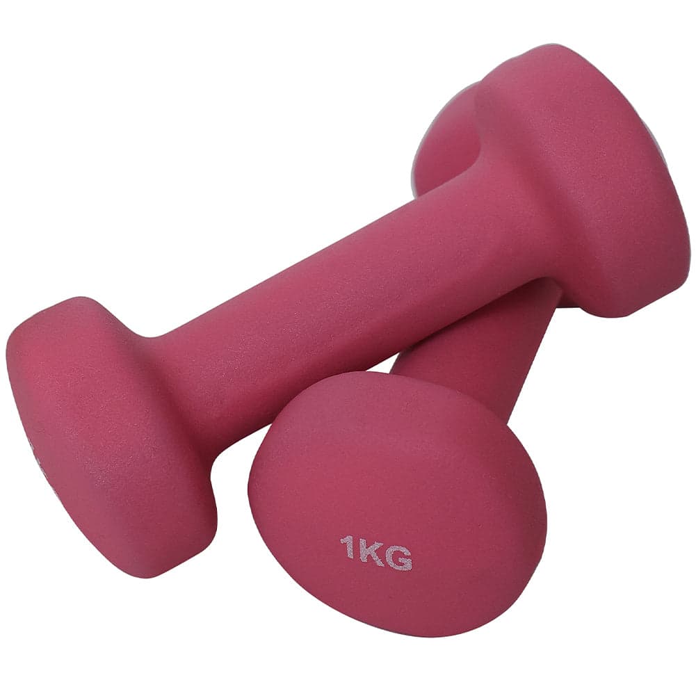 Set Manubri Palestra 6 Pesi Fitness 1kg 2kg 3kg con Supporto Stand Antirumore in Manubri Danyx - Casoria, commercioVirtuoso.it
