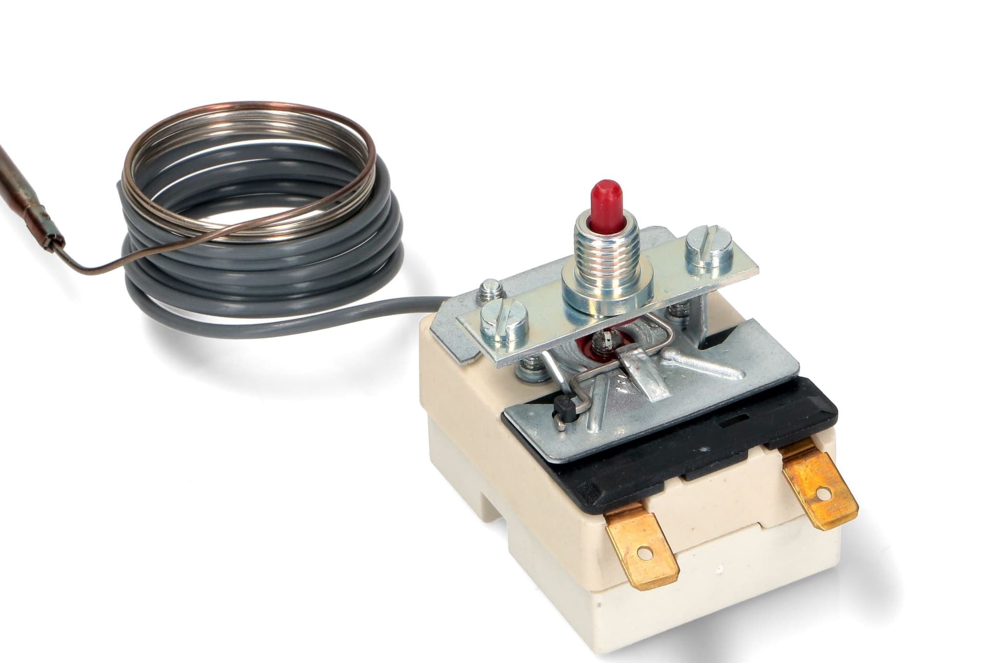 TERMOSTATO BRASIERA 420°C FAGOR-EGO 55.13583.010 MONOFASE CON PULSANTE in prodotto EuroStore07 - Alatri, commercioVirtuoso.it