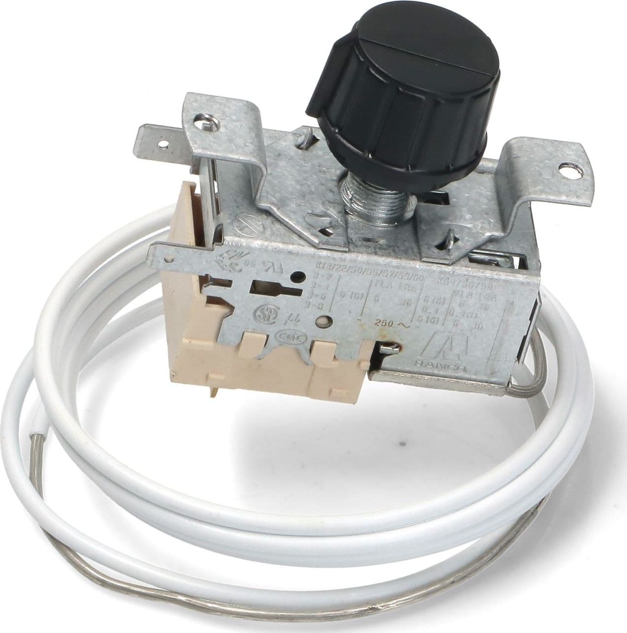 TERMOSTATO PROFESSIONALE FABBRICATORE GHIACCIO RANCO K22-S1096 ITV sonda 1500mm in prodotto EuroStore07 - Alatri, commercioVirtuoso.it