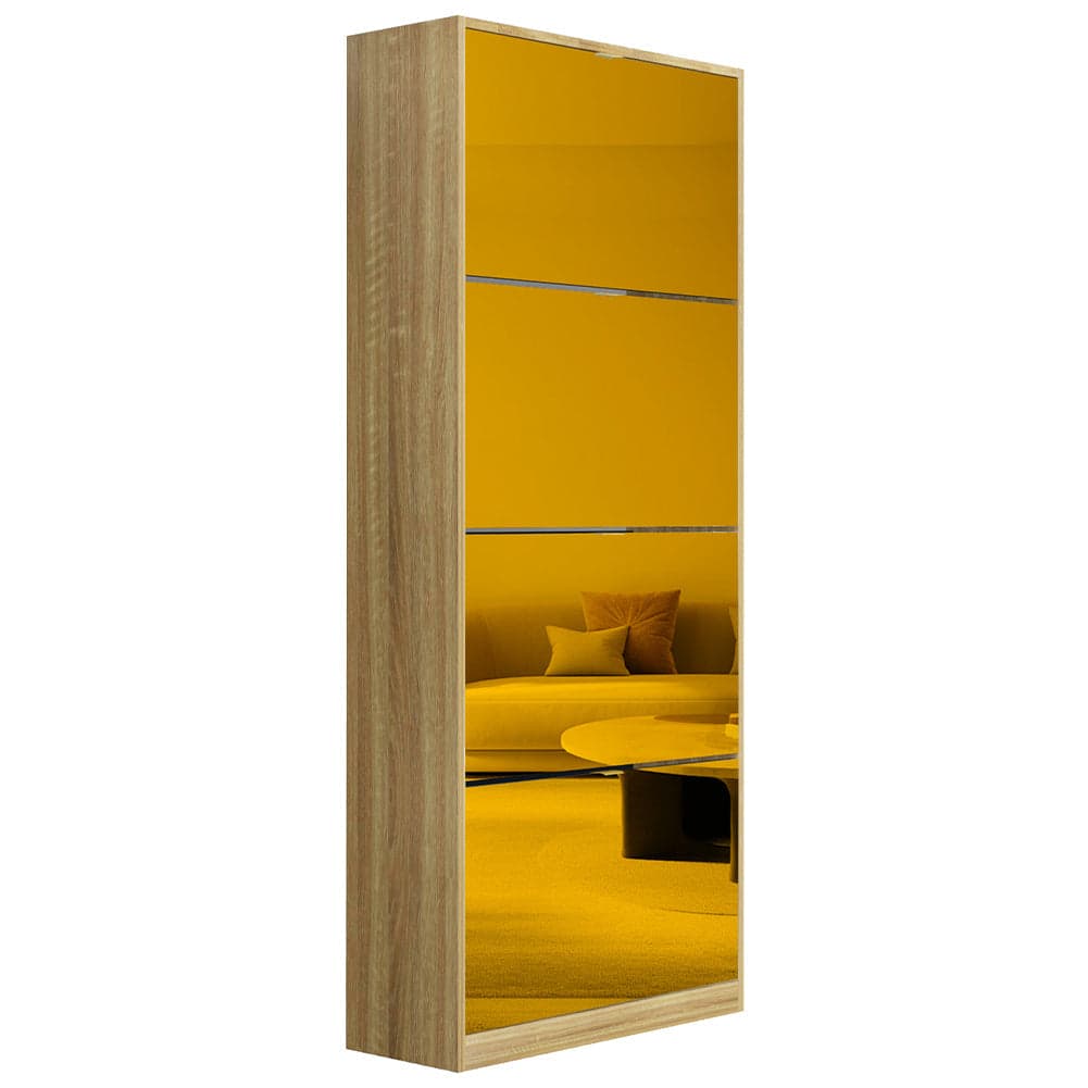 Scarpiera 4 Ante a Specchio Marrone Slim con Maniglia Salvaspazio 63x24x150cm in Scarpiere Esplodia - Napoli, commercioVirtuoso.it