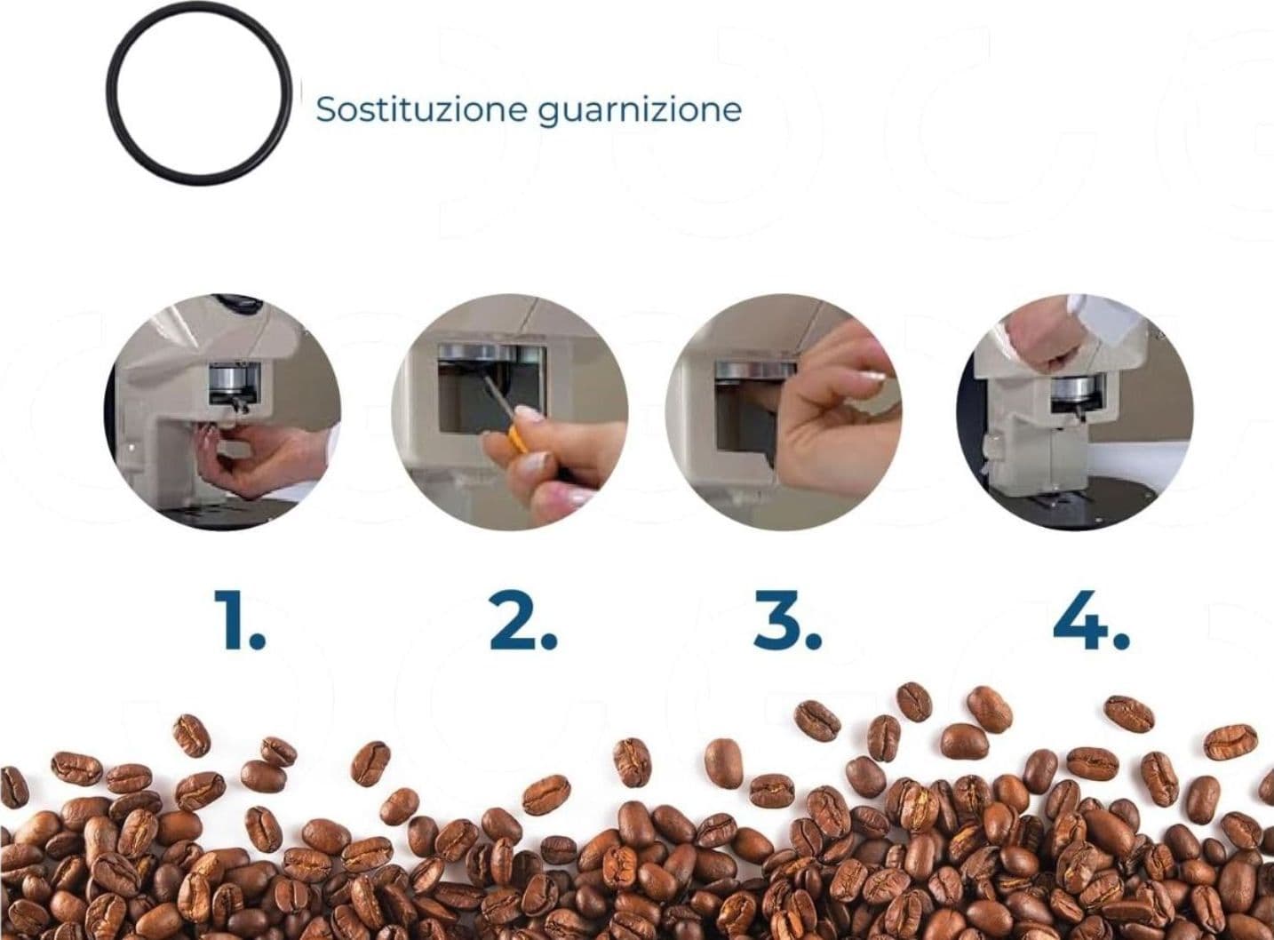 Kit Compatibile Baby Frog: Set Boccola Leva + 1 Guarnizione ad Anello Ricambio + in prodotto EuroStore07 - Alatri, commercioVirtuoso.it