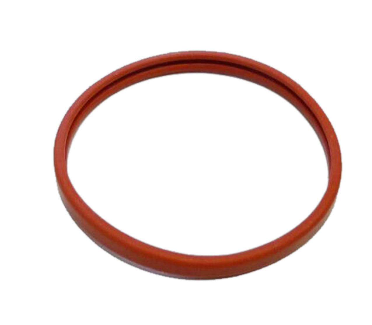 Guarnizione ad anello per portafiltro pressurizzato Gaggia Saeco 42194108530 in prodotto EuroStore07 - Alatri, commercioVirtuoso.it
