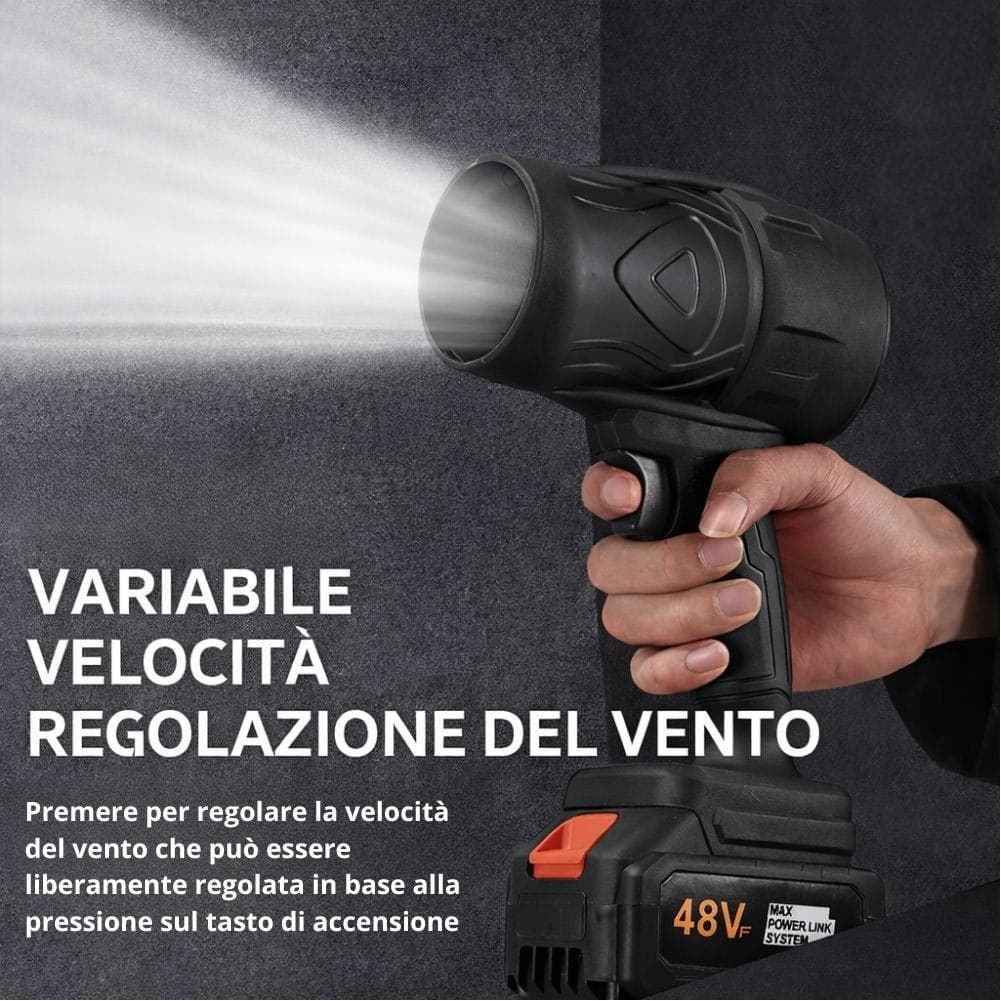 Soffiatore Foglie Cordless 48V Asciugatore Auto Alta Velocità con 2 Batterie e Valigetta in Aspirafoglie Danyx - Casoria, commercioVirtuoso.it